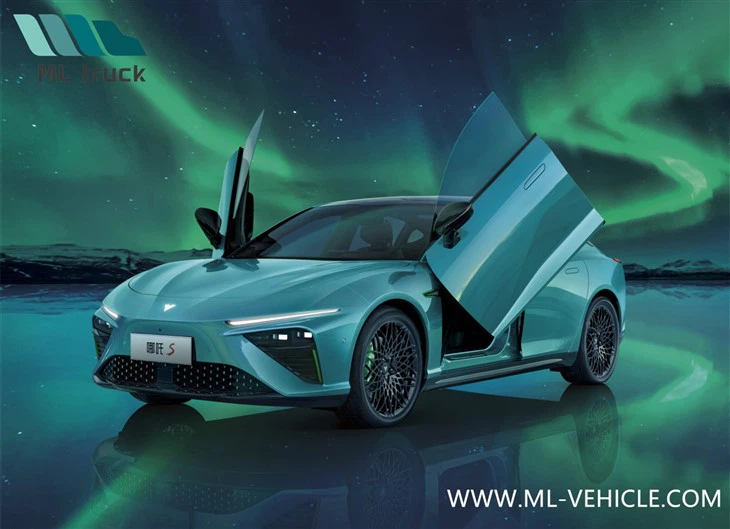 Хозон Нета С