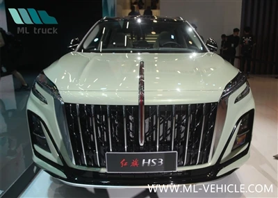 HongQi HS3 HEV 2024 года по цене 188 800 юаней официально поступил в продажу