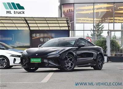 Хозон Нета GT