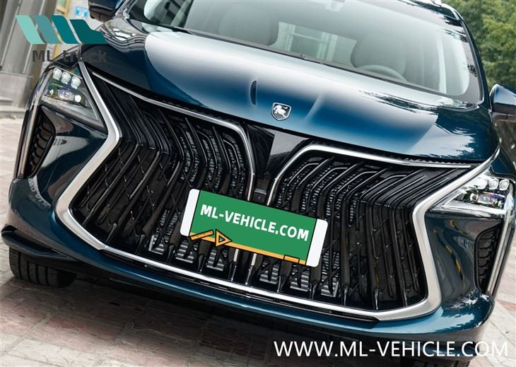 2024 DongFeng Forthing 1.5T DCT Yacht MPV