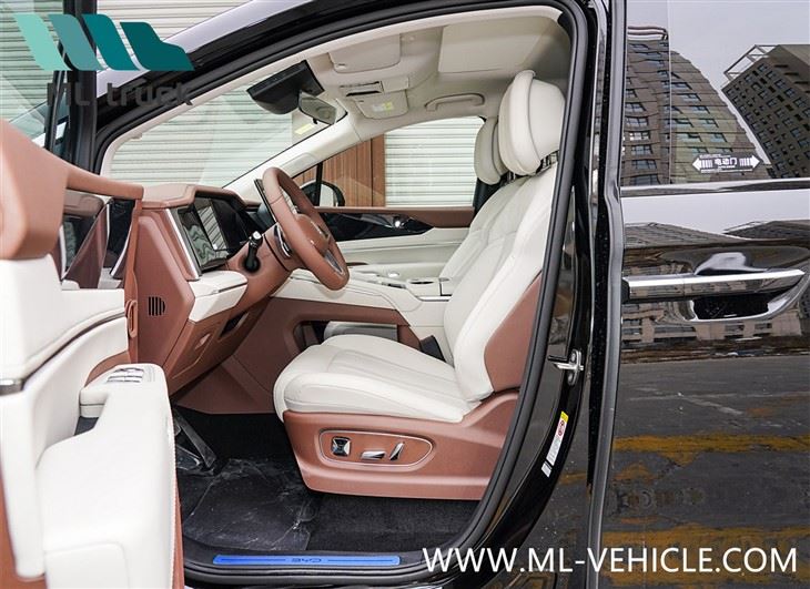 2025 BYD Xia MPV DMi
