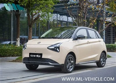 EvHouse YUE 01 Mini EV 2024 года