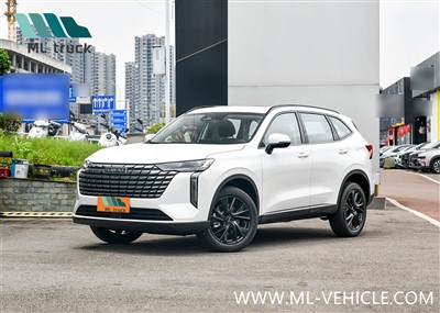 Внедорожник HAVAL H6 2024 года