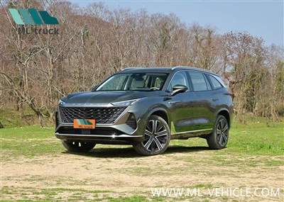 Внедорожник Saic Roewe RX9 2023 года